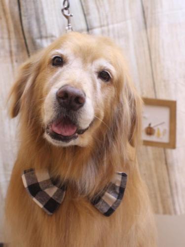 20241018五助くん